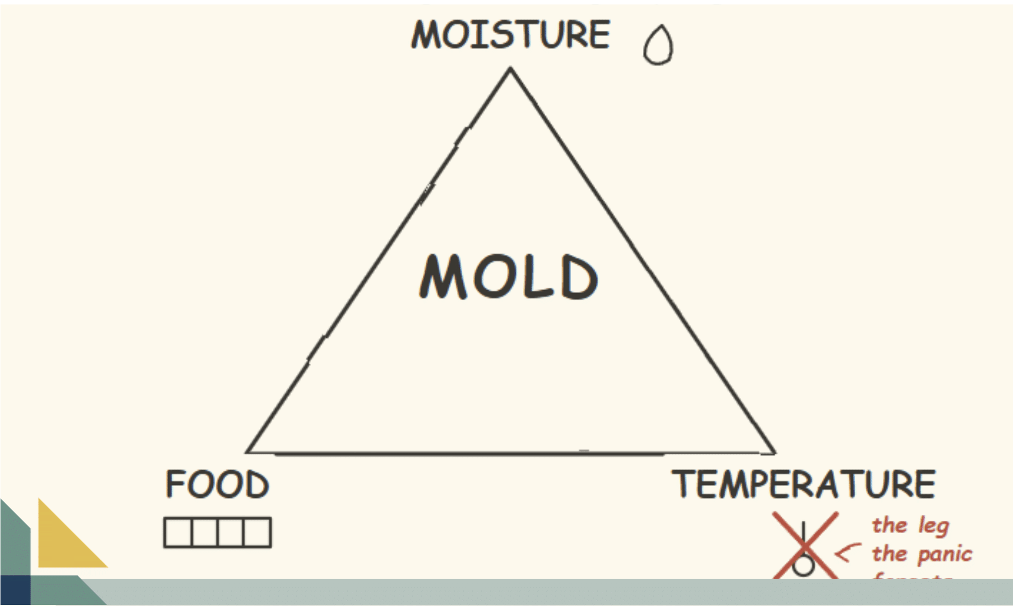 why some walls grow mold and others don't featured image