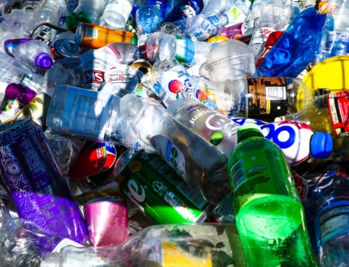 Game-Changing Plastic Recycling Process Promoted by Sir David Attenborough